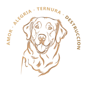 golden retriever Tshirt