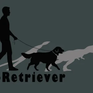 Camiseta Golden Retriever Costa Rica